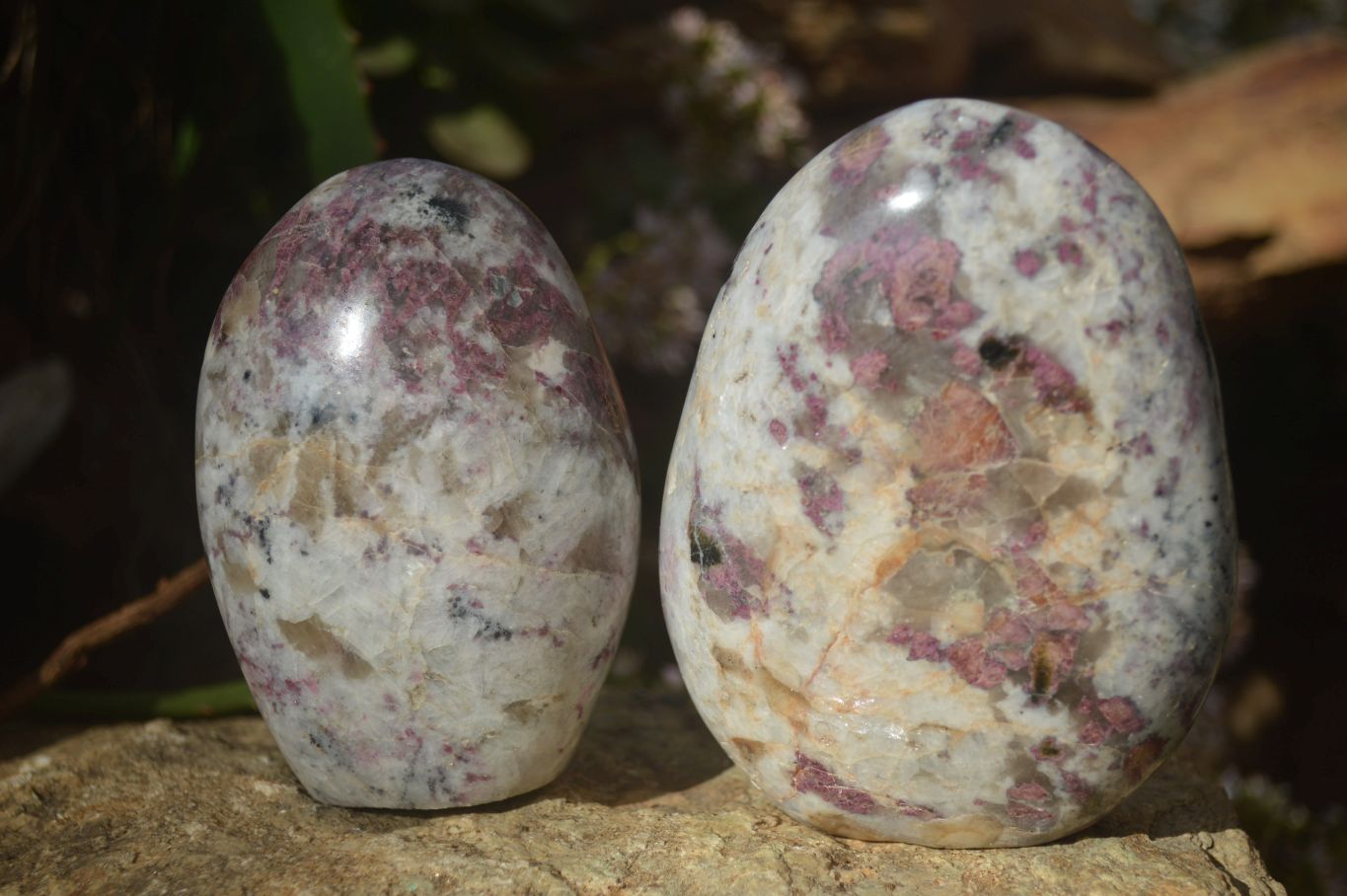 Polished Rubellite Pink Tourmaline Matrix Standing Free Forms x 2 From Madagascar - Toprock Gemstones and Minerals 