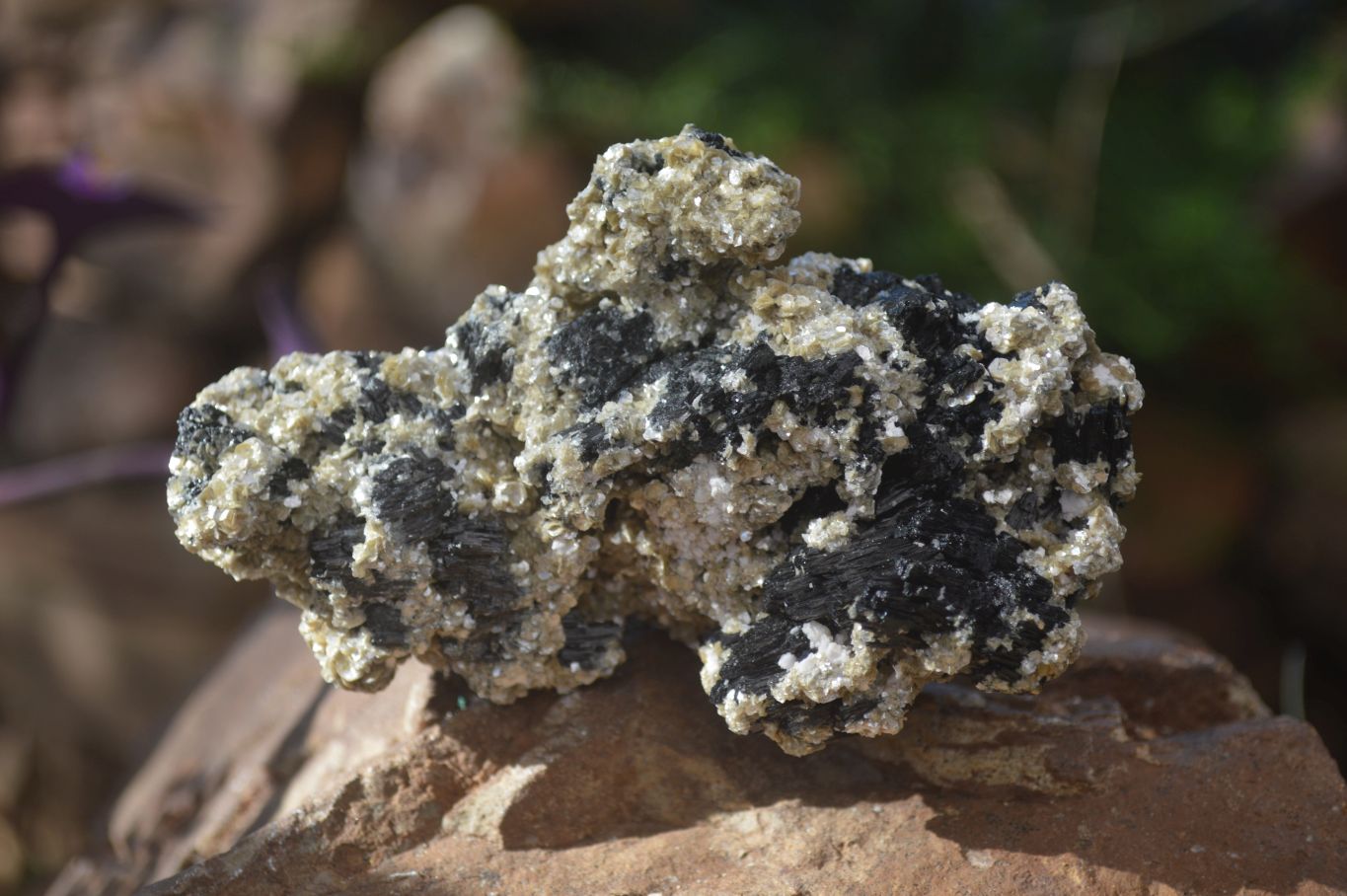 Natural Schorl Black Tourmaline With Vermiculite Specimens x 3 From Erongo, Namibia - Toprock Gemstones and Minerals 