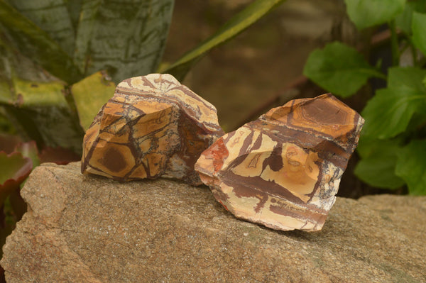 Natural Medium Cobbed Nguni Jasper Pieces - sold per 5 kg - From Northern Cape, South Africa - TopRock