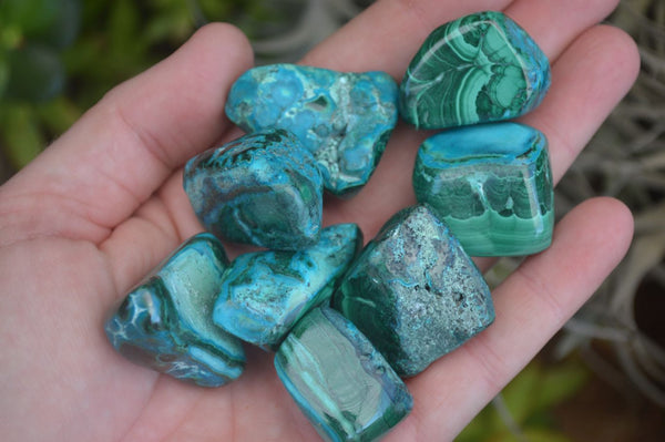 Polished Malacholla (Malachite & Chrysocolla) Tumble Stones  x 35 From Kulukuluku, Congo - Toprock Gemstones and Minerals 