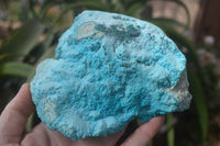Natural Botryoidal Chrysocolla Specimens x 2 From Congo - Toprock Gemstones and Minerals 