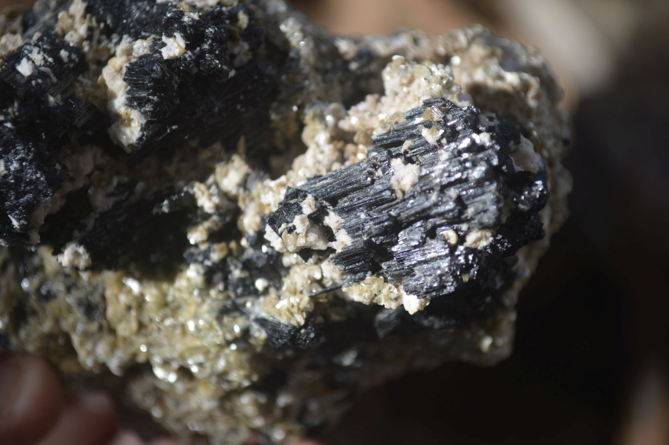 Natural Schorl Black Tourmaline With Vermiculite Specimens x 3 From Erongo, Namibia - Toprock Gemstones and Minerals 