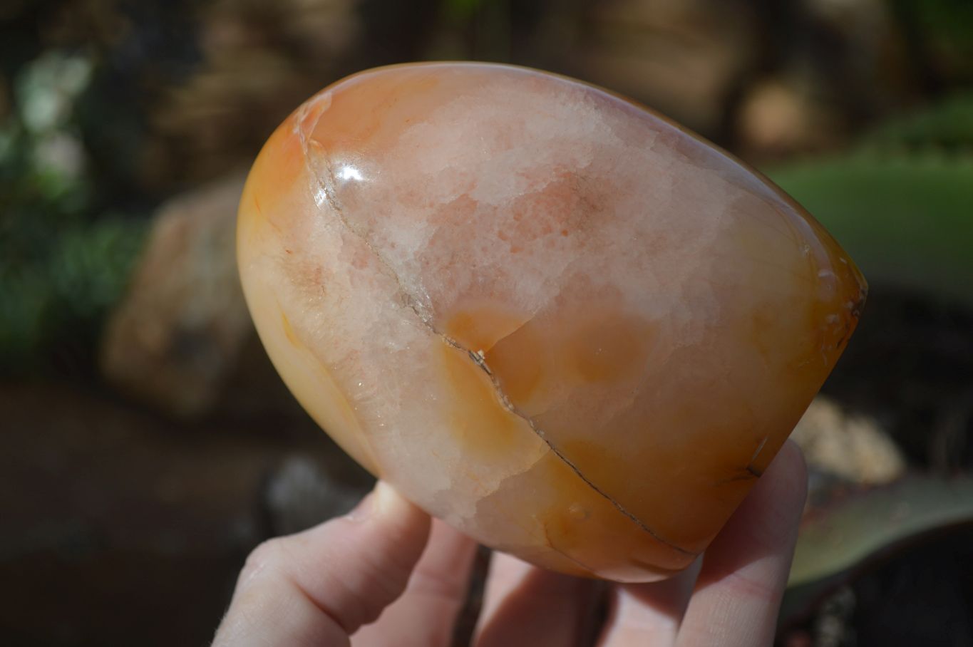 Polished Carnelian Agate Standing Free Forms  x 2 From Madagascar - Toprock Gemstones and Minerals 