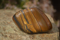 Polished Golden Tigers Eye Free Forms x 12 From Prieska, Northern Cape - Toprock Gemstones and Minerals 