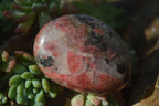 Polished Rhodonite Galet / Palm Stones x 12 From Zimbabwe - Toprock Gemstones and Minerals 