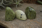 Polished Spotted Leopard stone Standing Free Forms  x 12 From Nyanga & Shamva, Zimbabwe - TopRock