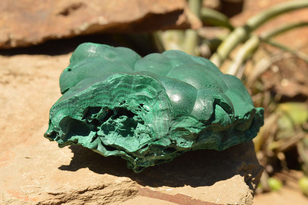 Natural Botryoidal Malachite Specimens (Stone Sealed) x 2 From Kasompe, Congo - TopRock