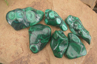 Polished Flower Malachite Free Forms  x 6 From Congo - Toprock Gemstones and Minerals 