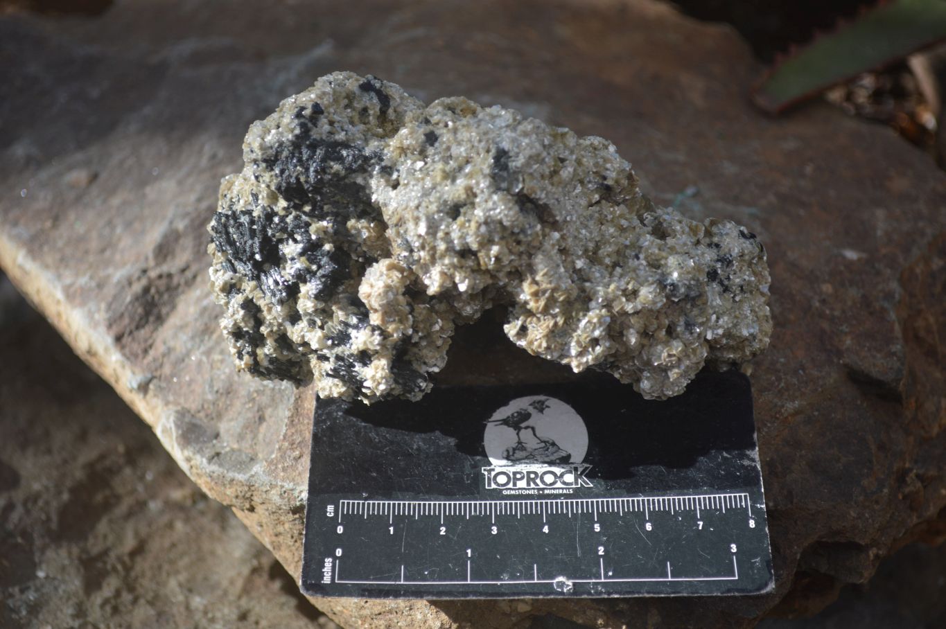 Natural Schorl Black Tourmaline With Vermiculite Specimens x 3 From Erongo, Namibia - Toprock Gemstones and Minerals 