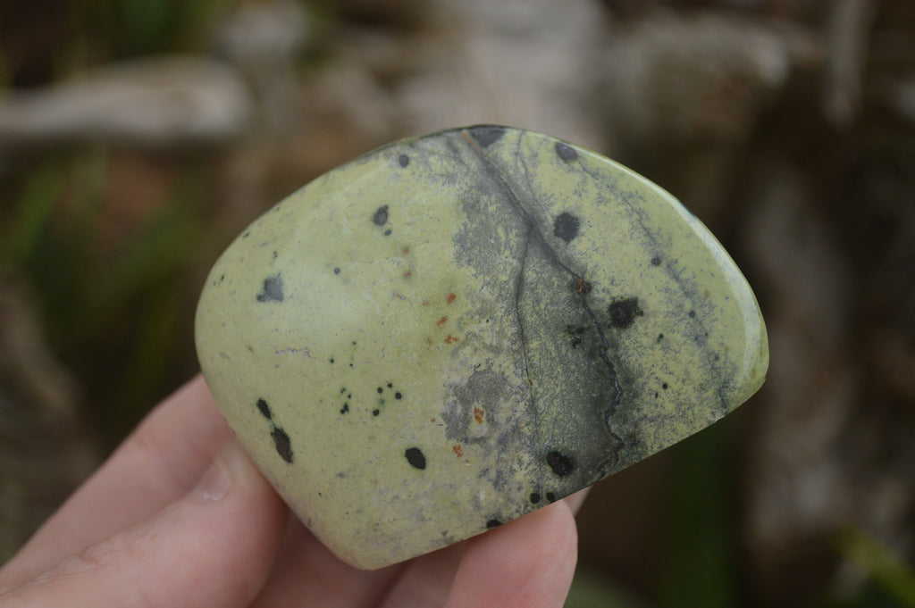 Polished Spotted Leopard stone Standing Free Forms  x 12 From Nyanga & Shamva, Zimbabwe - TopRock