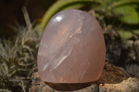 Polished  Pink Rose Quartz Standing Free Forms x 4 From Ambatondrazaka, Madagascar - TopRock
