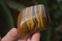 Polished Golden Tigers Eye Free Forms x 12 From Prieska, Northern Cape - Toprock Gemstones and Minerals 