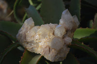 Natural Cascading Smokey Quartz Clusters x 2 From Luena, Congo - Toprock Gemstones and Minerals 