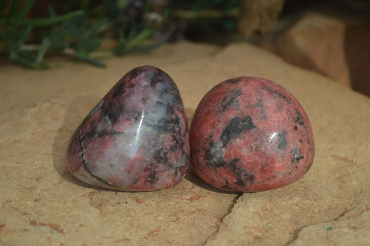 Polished Rhodonite Galet / Palm Stones x 12 From Zimbabwe - Toprock Gemstones and Minerals 
