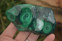 Polished Flower Malachite Free Forms  x 6 From Congo - Toprock Gemstones and Minerals 