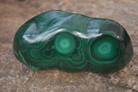 Polished Malachite Free Forms x 3 From Kolwezi, Congo - Toprock Gemstones and Minerals 