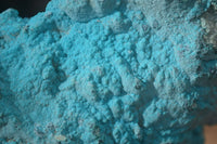 Natural Botryoidal Chrysocolla Specimens x 2 From Congo - Toprock Gemstones and Minerals 