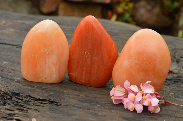 Polished Light with DARK Orange Twist Calcite Standing Free Forms  x 3 From Madagascar - TopRock