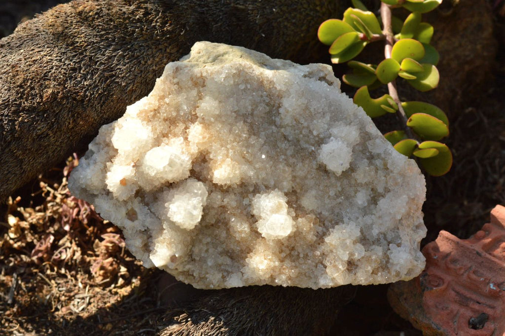 Natural Mixed Spirit Quartz Clusters  x 4 From Boekenhouthoek, South Africa - TopRock