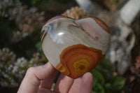 Polished Polychrome Jasper Hearts  x 6 From Madagascar
