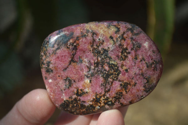 Polished Rhodonite Galet / Palm Stones x 12 From Zimbabwe - Toprock Gemstones and Minerals 