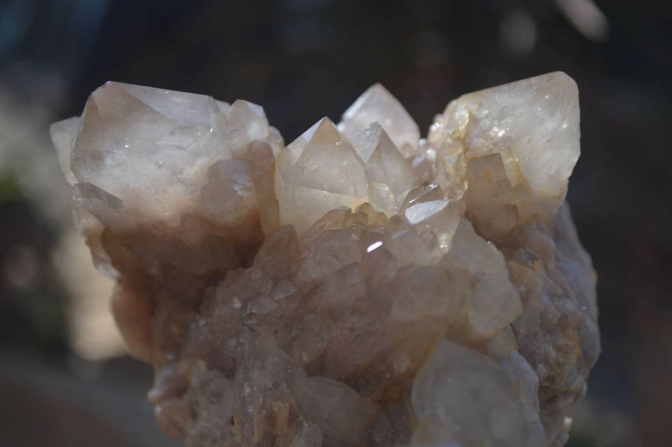 Natural Cascading Smokey Quartz Clusters x 2 From Luena, Congo - Toprock Gemstones and Minerals 