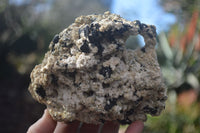 Natural Schorl Black Tourmaline With Vermiculite Specimens x 3 From Erongo, Namibia - Toprock Gemstones and Minerals 