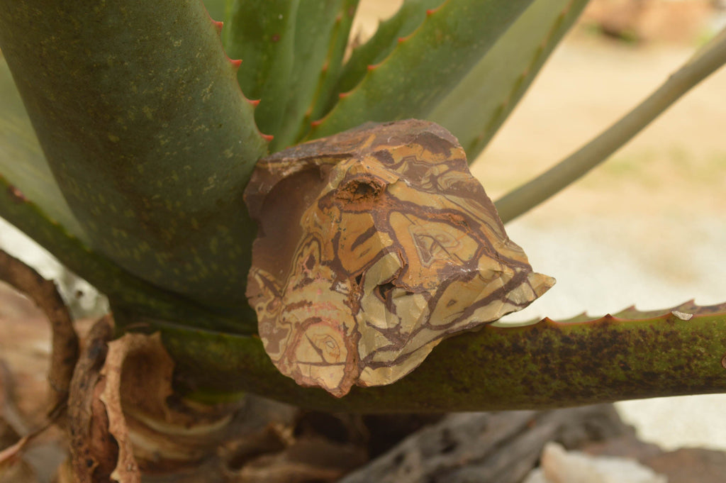 Natural Medium Cobbed Nguni Jasper Pieces - sold per 5 kg - From Northern Cape, South Africa - TopRock