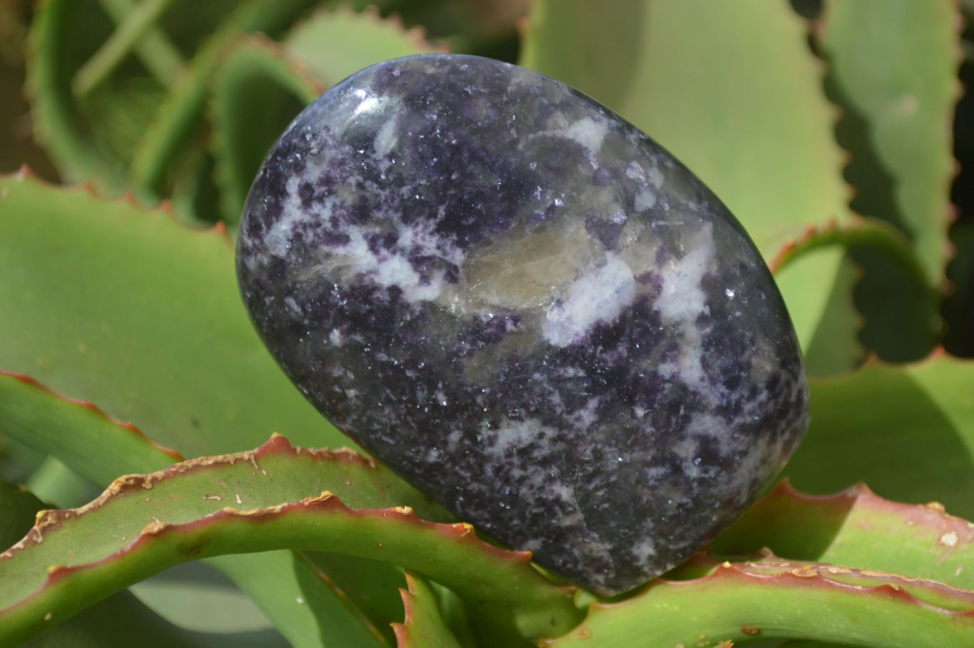 Polished Purple Lepidolite Standing Free Forms  x 3 From Zimbabwe - Toprock Gemstones and Minerals 