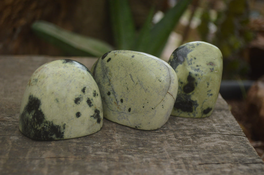 Polished Spotted Leopard stone Standing Free Forms  x 12 From Nyanga & Shamva, Zimbabwe - TopRock