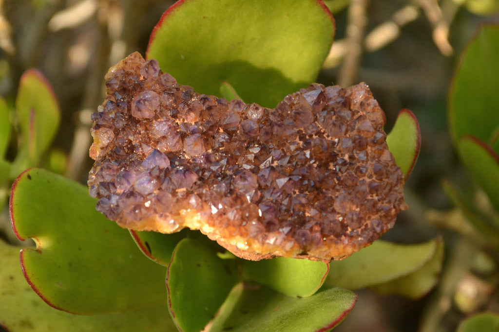 Natural Dark "Amethystos" Amethyst Plates  x 12 From Kwaggafontein, South Africa - TopRock