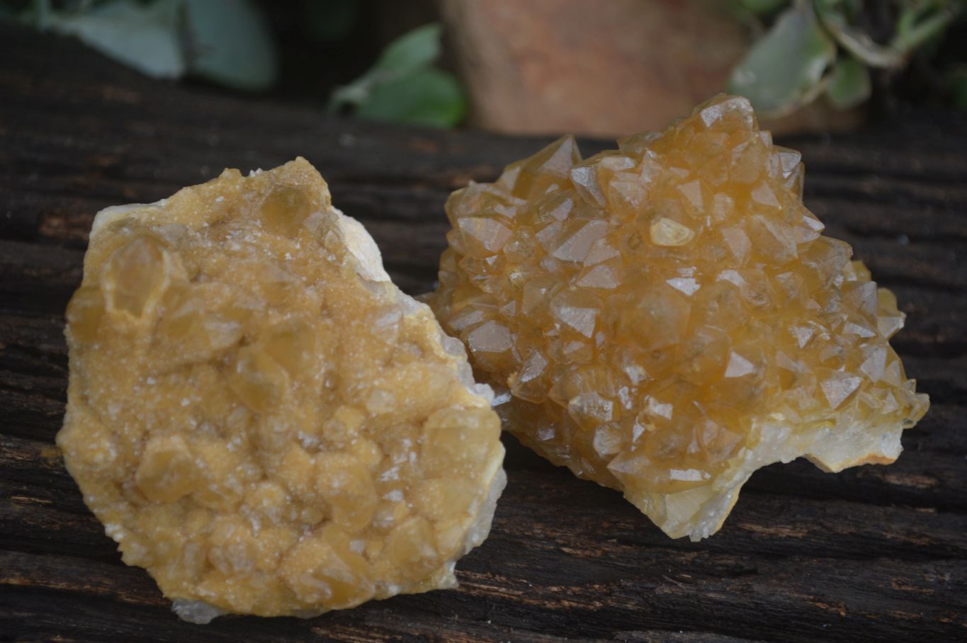 Natural Golden Limonite / Lemonite Quartz Clusters  x 12 From Zambia - Toprock Gemstones and Minerals 