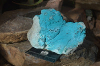 Natural Botryoidal Chrysocolla Specimens x 2 From Congo - Toprock Gemstones and Minerals 