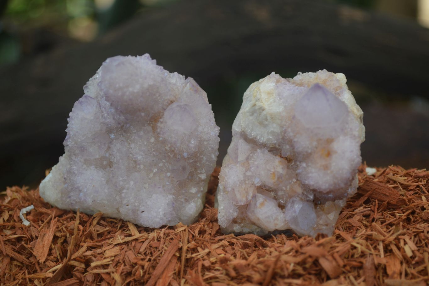 Natural Spirit Amethyst Quartz Specimens  x 12 From Boekenhouthoek, South Africa - Toprock Gemstones and Minerals 