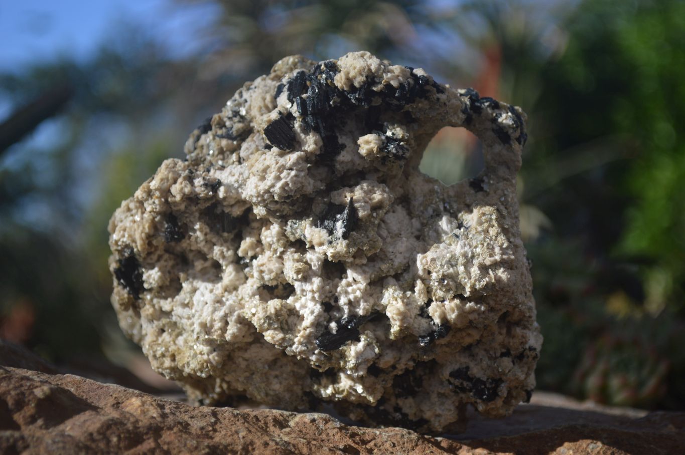 Natural Schorl Black Tourmaline With Vermiculite Specimens x 3 From Erongo, Namibia - Toprock Gemstones and Minerals 
