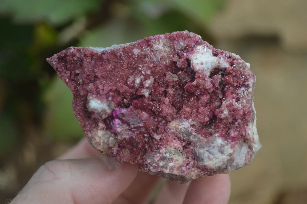 Natural Pink Salrose Cobaltion Dolomite Specimens  x 4 From Kakanda, Congo - Toprock Gemstones and Minerals 