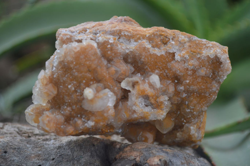 Natural Golden Limonite / Lemonite Quartz Clusters  x 12 From Zambia - Toprock Gemstones and Minerals 