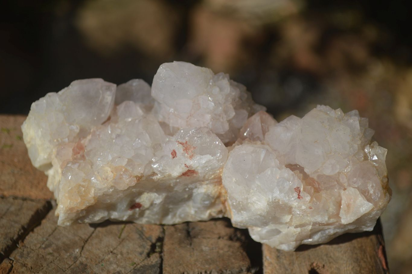 Natural White Cactus Flower Spirit Quartz Specimens  x 2 From Boekenhouthoek, South Africa - Toprock Gemstones and Minerals 