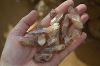 Natural Small Red Hematoid Quartz Crystals x 70 From Karoi, Zimbabwe - Toprock Gemstones and Minerals 