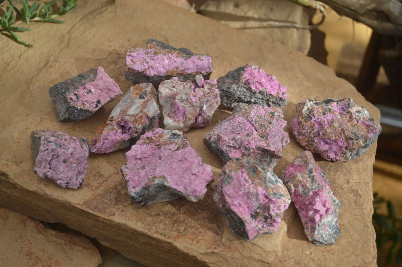Natural Salrose Cobaltion Dolomite Specimens x 12 From Kakanda, Congo - Toprock Gemstones and Minerals 