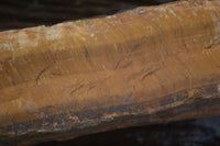 Natural Sliced Tigers Eye Specimen x 1 From Prieska, South Africa - Toprock Gemstones and Minerals 