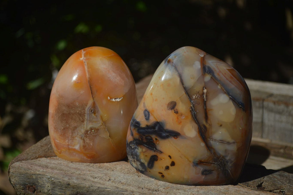 Polished Carnelian Agate Standing Free Forms  x 2 From Madagascar - Toprock Gemstones and Minerals 