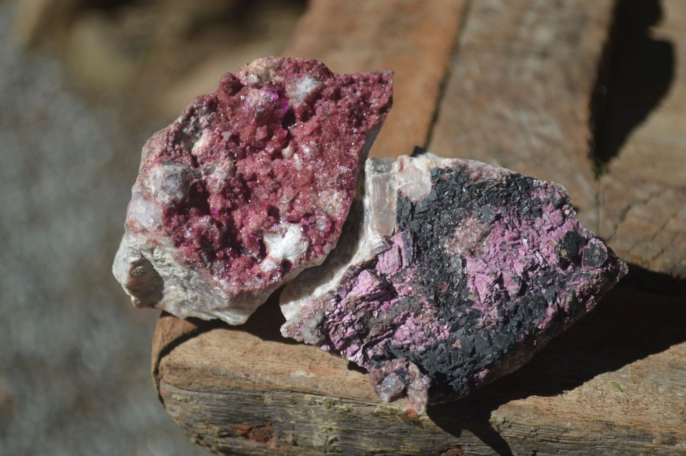 Natural Pink Salrose Cobaltion Dolomite Specimens  x 4 From Kakanda, Congo - Toprock Gemstones and Minerals 