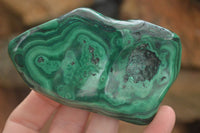 Polished Flower Malachite Free Forms  x 6 From Congo - Toprock Gemstones and Minerals 