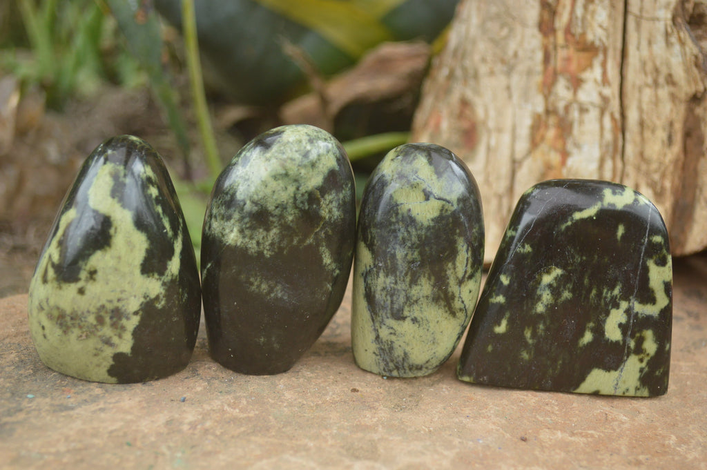 Polished Spotted Leopard stone Standing Free Forms  x 12 From Nyanga & Shamva, Zimbabwe - TopRock