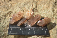 Natural Small Red Hematoid Quartz Crystals x 70 From Karoi, Zimbabwe - Toprock Gemstones and Minerals 