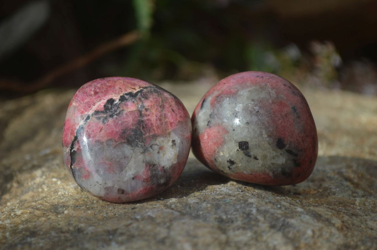 Polished Rhodonite Galet / Palm Stones x 12 From Zimbabwe - Toprock Gemstones and Minerals 