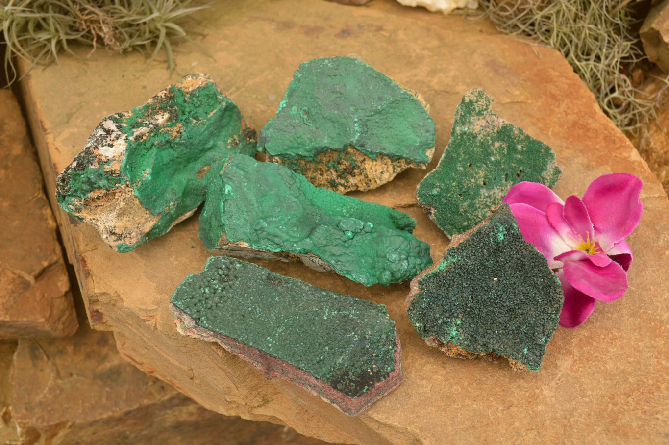 Natural Crystalline Malachite Specimens  x 6 From Tenke Fungurume, Congo - TopRock