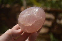 Polished  Pink Rose Quartz Standing Free Forms x 4 From Ambatondrazaka, Madagascar - TopRock