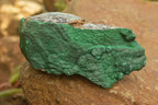 Natural Crystalline Malachite Specimens  x 6 From Tenke Fungurume, Congo - TopRock